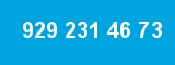 929 231 46 73
